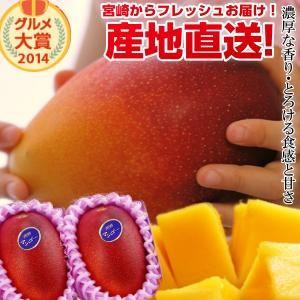 特大宮崎完熟マンゴー 2玉 2026年 フレッシュ 産地直送 贈り物 母の日 お中元 ギフト 贈り物 フルーツ 果物 くだもの 送料無料