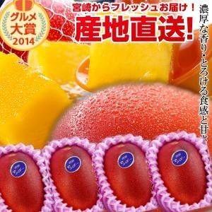 特大宮崎完熟マンゴー 4玉 2026年 フレッシュ 産地直送 マンゴー 贈り物 母の日 お中元 ギフト 贈り物 くだもの 果物 送料無料