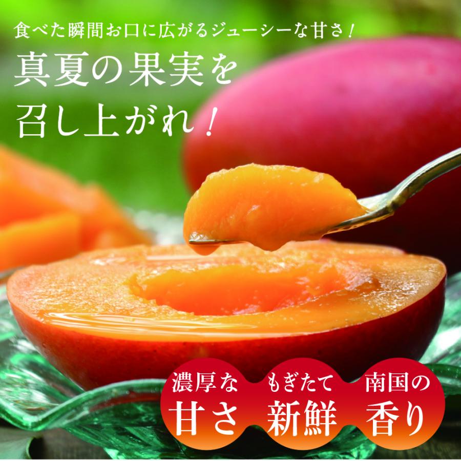タマチャンショップ 訳あり宮崎完熟マンゴー 約5kg 9〜15玉 タマチャンショップ 訳あり宮崎完熟マンゴー 約5kg 9〜15玉