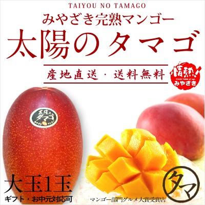 太陽のタマゴ 大玉1玉 2L 2024年度 宮崎 マンゴー フレッシュ 