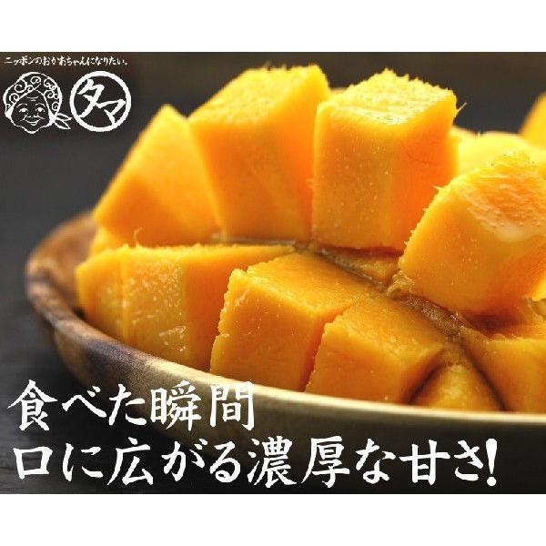 太陽のタマゴ 大玉1玉 2L 2024年度 宮崎 マンゴー フレッシュ 