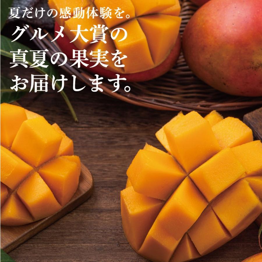 タマチャンショップ 太陽のタマゴ 大玉2玉 2L 2026年 宮崎 マンゴー