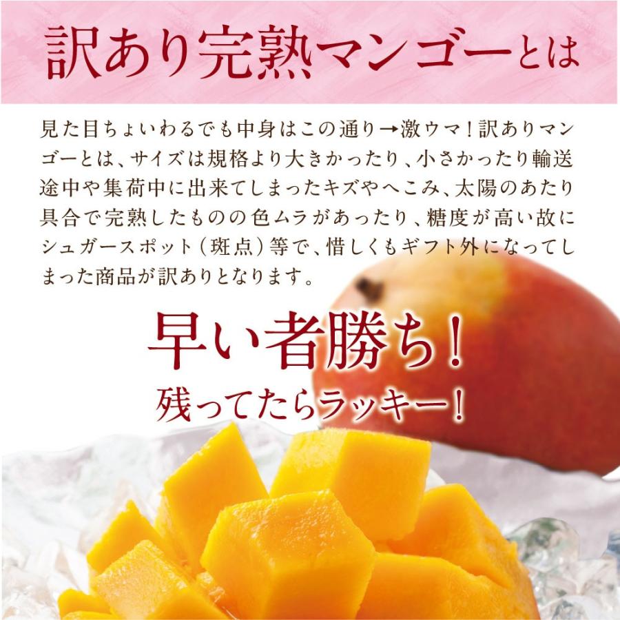 タマチャンショップ 訳あり宮崎完熟マンゴー 約3kg 6〜10玉 マンゴー