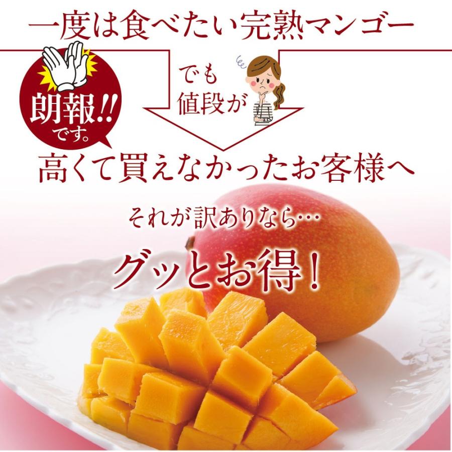 タマチャンショップ 訳あり宮崎完熟マンゴー 900〜1000g詰め 2 タマチャンショップ 訳あり宮崎完熟マンゴー 900〜1000g詰め 2