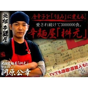 タマチャンショップ 辛麺 桝元 宮崎 選べる インスタント ラーメン 2食