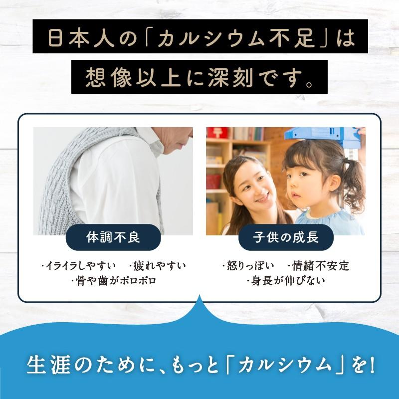 カルシウム サプリ 粉末 美粉屋 みらいのミルク 100g 乳糖不使用 5袋セット 牛乳 豆乳 ライスミルク 穀物 ココナッツ チアシード キヌア 砂糖 着色料 送料無料 | タマチャンショップ | 04