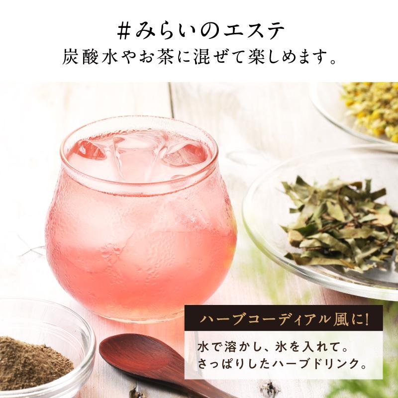 サプリ 粉末 ハーブ ドリンク ダイエット 美粉屋 みらいのエステ 100g 5袋セット アーユルヴェーダ リラクゼーション クレンズ ジュース 送料無料 | タマチャンショップ | 10