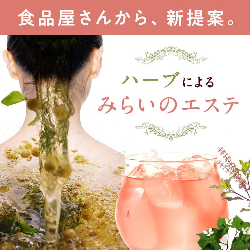 サプリ 粉末 ハーブ ドリンク ダイエット 美粉屋 みらいのエステ 100g 5袋セット アーユルヴェーダ リラクゼーション クレンズ ジュース 送料無料 | タマチャンショップ | 02