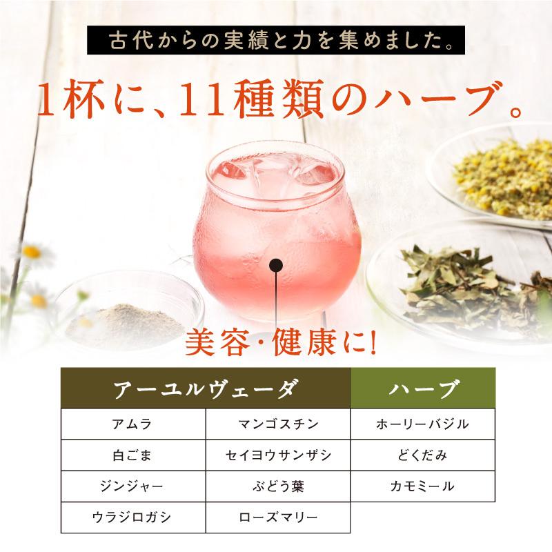 サプリ 粉末 ハーブ ドリンク ダイエット 美粉屋 みらいのエステ 100g 5袋セット アーユルヴェーダ リラクゼーション クレンズ ジュース 送料無料 | タマチャンショップ | 03