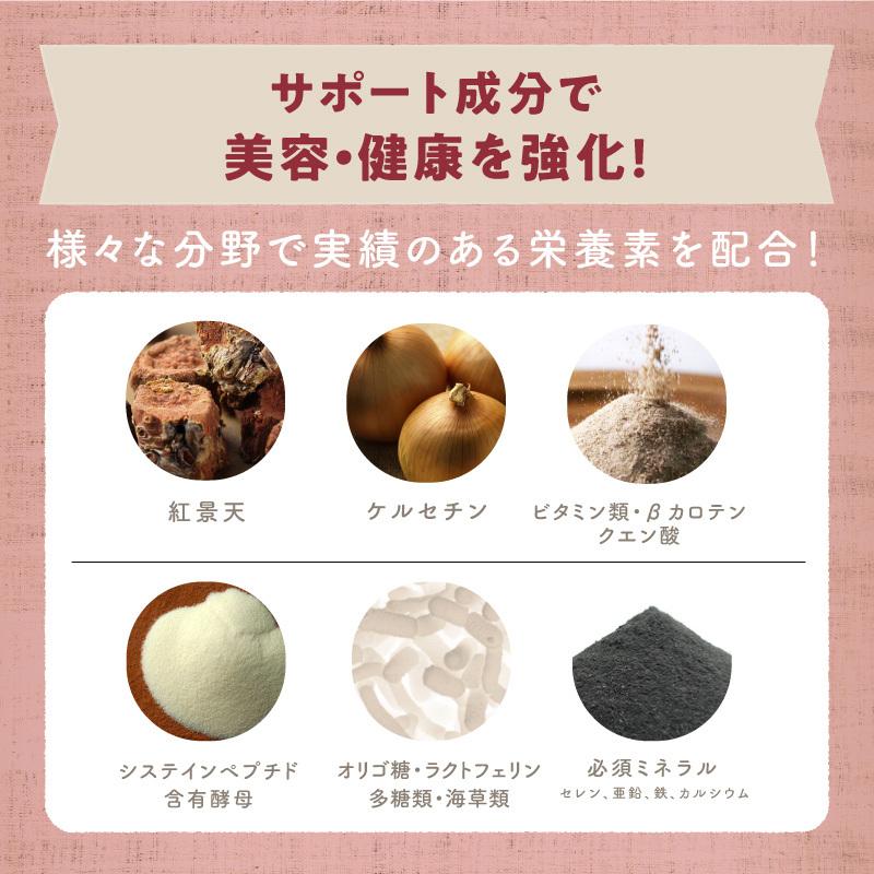 サプリ 粉末 ハーブ ドリンク ダイエット 美粉屋 みらいのエステ 100g 5袋セット アーユルヴェーダ リラクゼーション クレンズ ジュース 送料無料 | タマチャンショップ | 05
