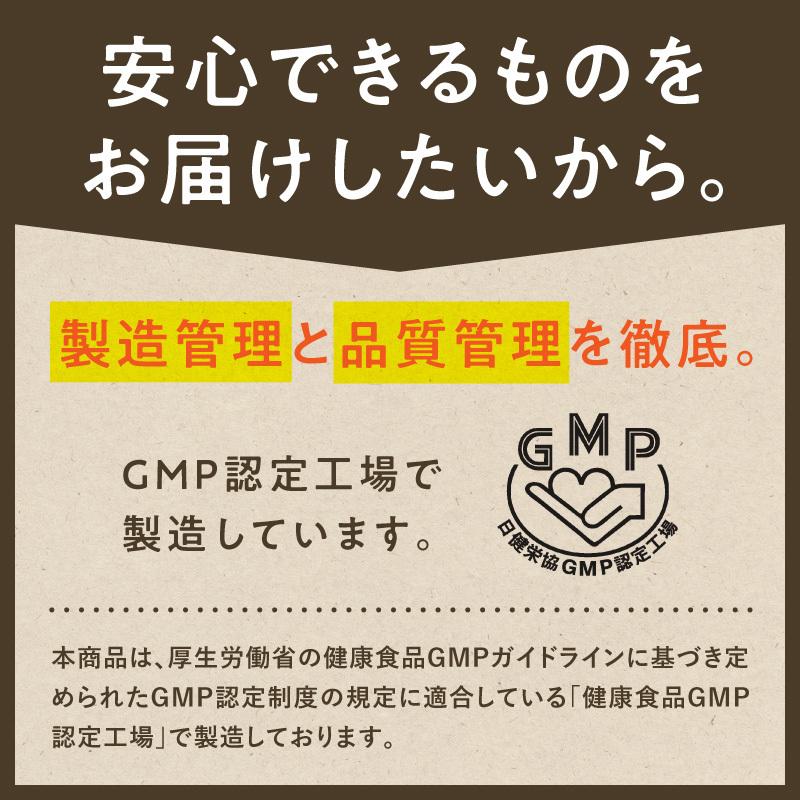 大豆 粉末 みらいのミルク 100g 豆乳パウダー まめミルク サプリメント きな粉 ソイ ライス ミルク 植物性 アーモンド オーツ 穀物 送料無料 | タマチャンショップ | 12