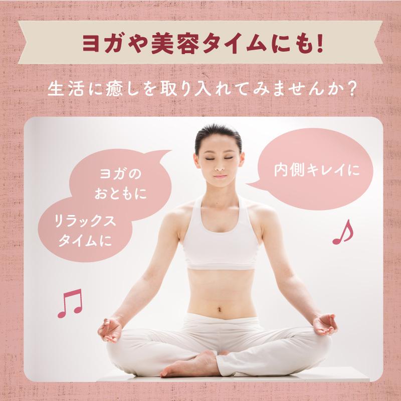 サプリ 粉末 ダイエット ハーブ ドリンク みらいのエステ 100g 美粉屋 デトックス リラクゼーション クレンズ ジュース 送料無料 | タマチャンショップ | 12