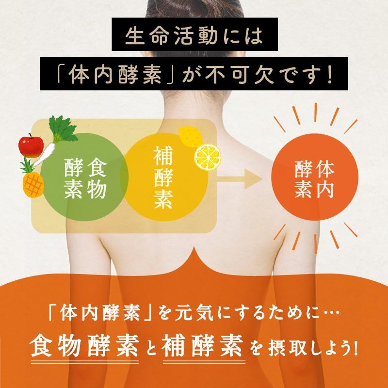 タマチャンショップ 酵素 サプリ ドリンク みらいのこうそ 3g×30包