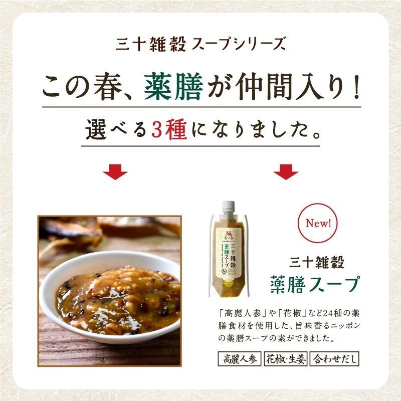人気新品 三十雑穀 みそスープ 170g 3種セット チゲスープ 薬膳スープ 各1個 チューブ式 インスタント キャンプ飯 みそ汁 みそ しる ポイント消化 送料無料 Wantannas Go Id