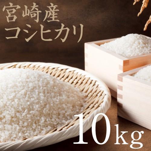 コシヒカリ 米 10kg 送料無料 令和6年産 精白米 こしひかり 宮崎県産