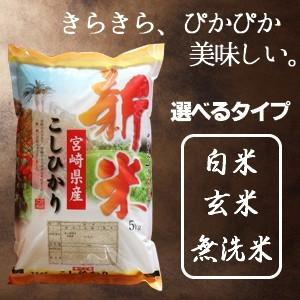 コシヒカリ 米 10kg 送料無料 令和6年産 精白米 こしひかり 宮崎県産