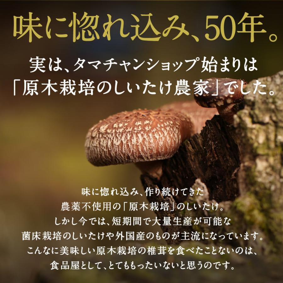 キノコッチ きのこチップス 森のおつまみ ヘルシーおやつ スナック菓子 野菜チップス しめじ 舞茸 エリンギ えのき 椎茸 しいたけ ギフト ポイント利用 送料無料 | タマチャンショップ | 12