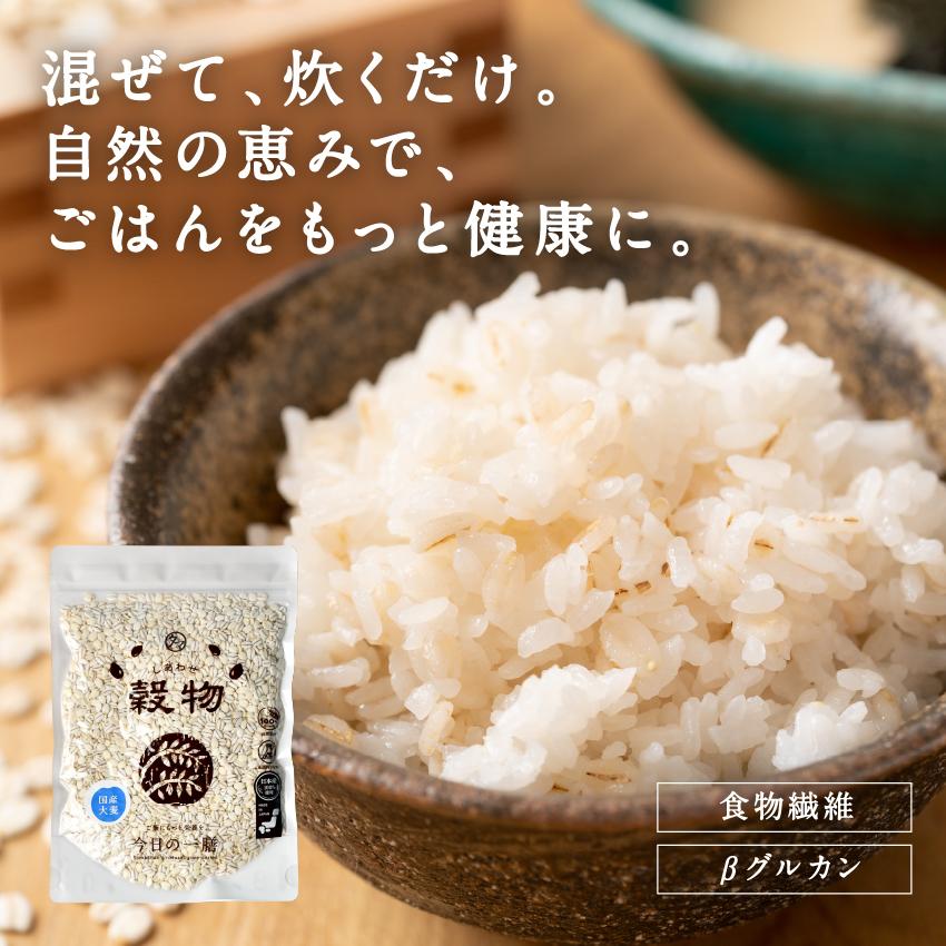 タマチャンショップ 大麦 雑穀 国産 10kg 胚芽押し麦 βグルカン