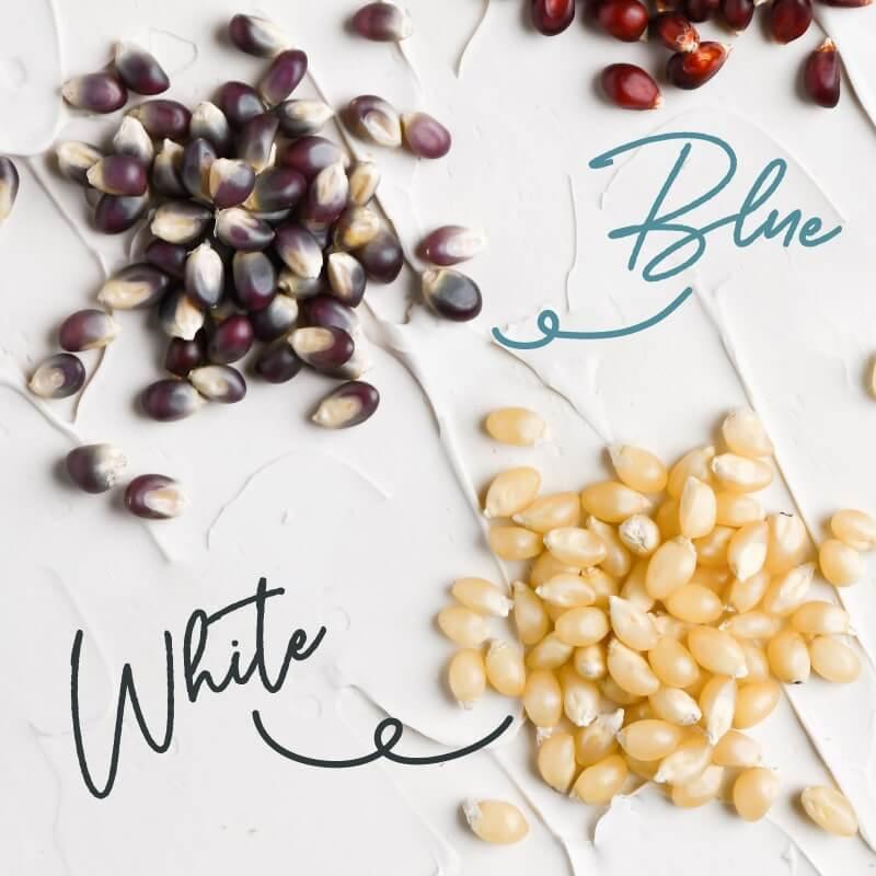 タマチャンショップ ポップコーン 種 豆 150g 電子レンジ 健康おやつ