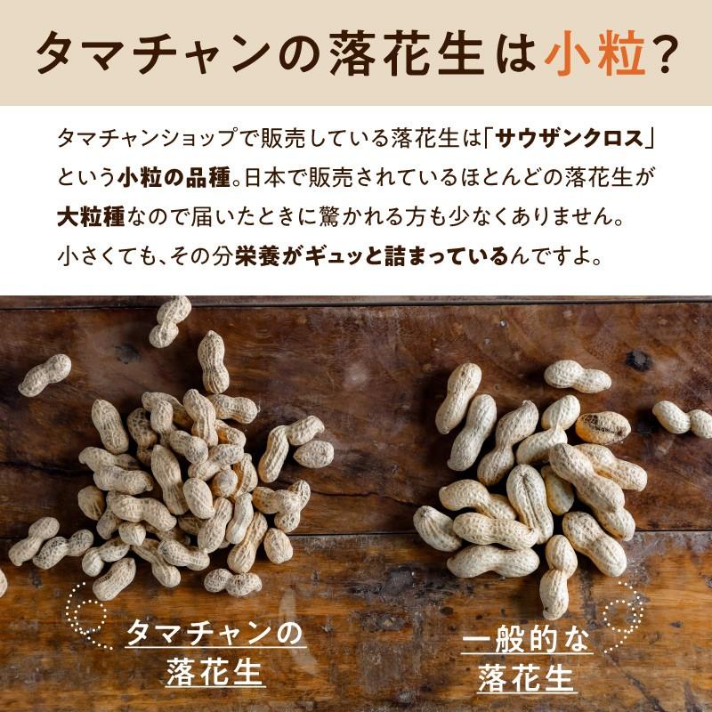 落花生 150g 国産 九州 宮崎 ピーナッツ ピーナツ 釜炒り 焙煎 煎り おつまみ 豆 まめ マメ 節分 らっかせい 小粒 肥満 花粉 予防 送料無料 タマチャンショップ 通販 Paypayモール