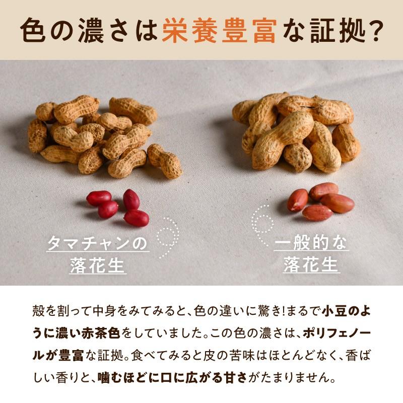 最大62 Offクーポン 落花生 150g 国産 九州 宮崎 ピーナッツ ピーナツ 釜炒り 焙煎 煎り おつまみ 豆 まめ マメ 節分 らっかせい 小粒 肥満 花粉 予防 送料無料598円 Aynaelda Com