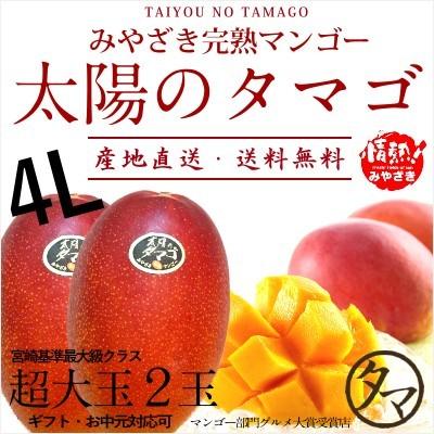 タマチャンショップ 太陽のタマゴ 超特大玉2玉 4L 2026年 宮崎 