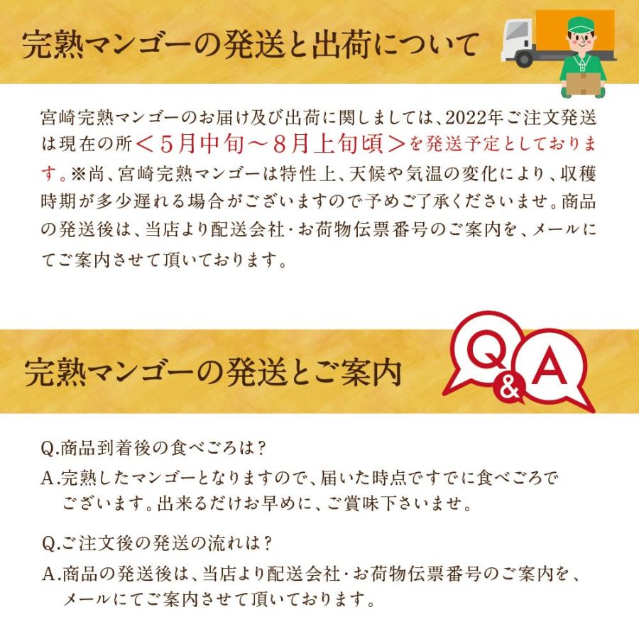 太陽のタマゴ 特大玉2玉 3L 2026年 宮崎 マンゴー フレッシュ 産地直送 母の日 贈り物 お中元 ギフト 果物 くだもの フルーツ 送料無料_18