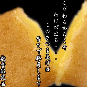 訳あり さつま揚げ 1kg 鹿児島県 揚立屋 家庭用 さつまあげ 工場直送 送料無料 タマチャンショップ 通販 Paypayモール