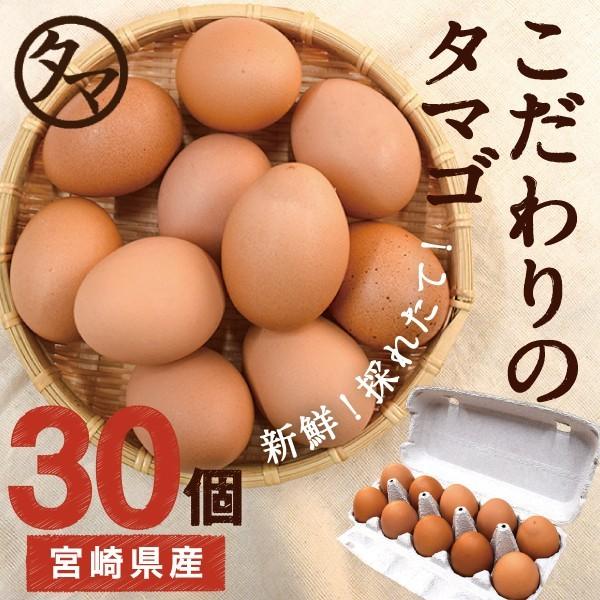 宮崎 健康 タマゴ 30個 こだわりの飼料 マイナスイオン水 濃厚な味わい たま ご 送料無料