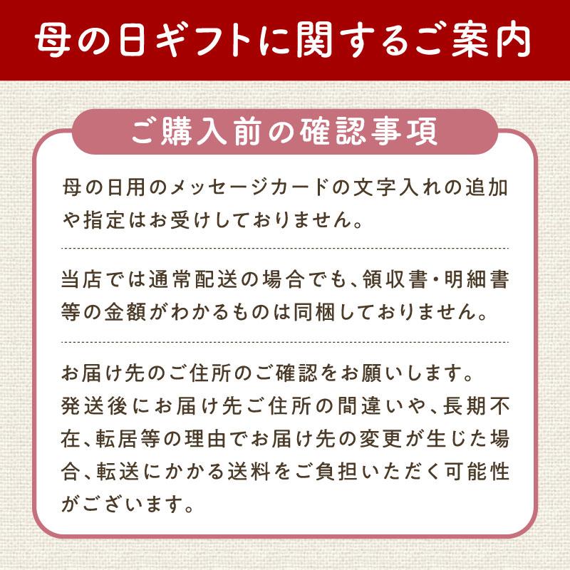 母の日ギフト2024 スモークナッツギフト 200g×2本 ギフト箱詰め 燻製 チーズ  おつまみ お中元 内祝い プレゼント 贈り物 引き出物 贈答 熨斗対応｜tamachanshop｜10