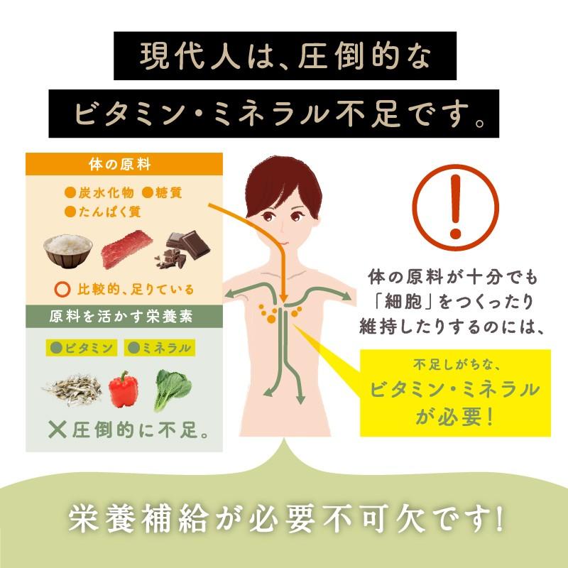 タマチャンショップ スムージー 粉末 150g サプリ ダイエット ドリンク