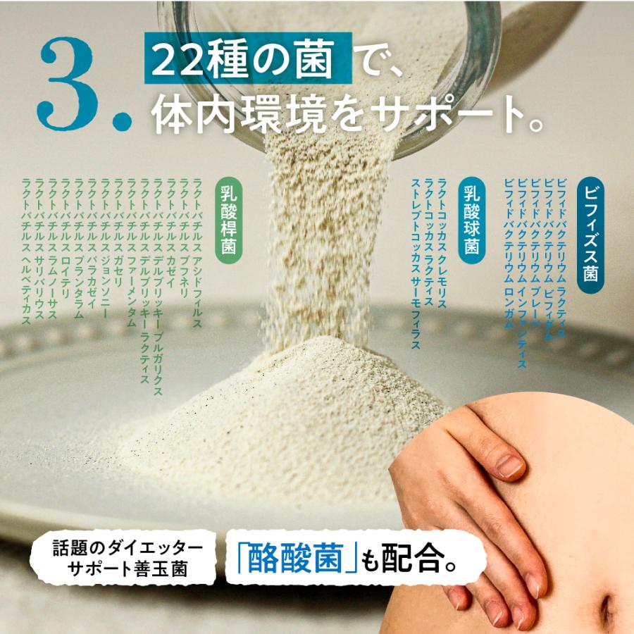 タマチャンショップ 超栄養食ONE スムージー 480g 粉末 ドリンク