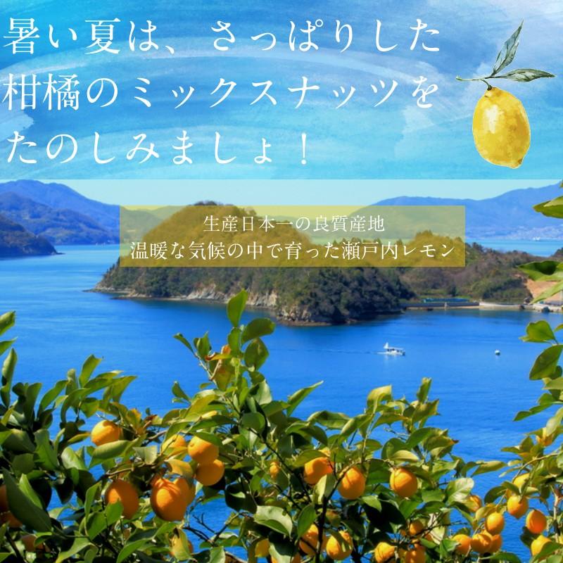 塩レモン仕立て ミックスナッツ 300g 数量限定 ななつのしあわせ ナッツ 7種類ブレンド 無塩 無油 送料無料｜tamachanshop｜03