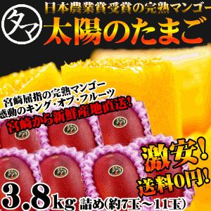 太陽のタマゴ 3.8kg詰め 2026年 宮崎 マンゴー フレッシュ 産地直送 贈り物 お中元 ギフト 果物 くだもの フルーツ 送料無料