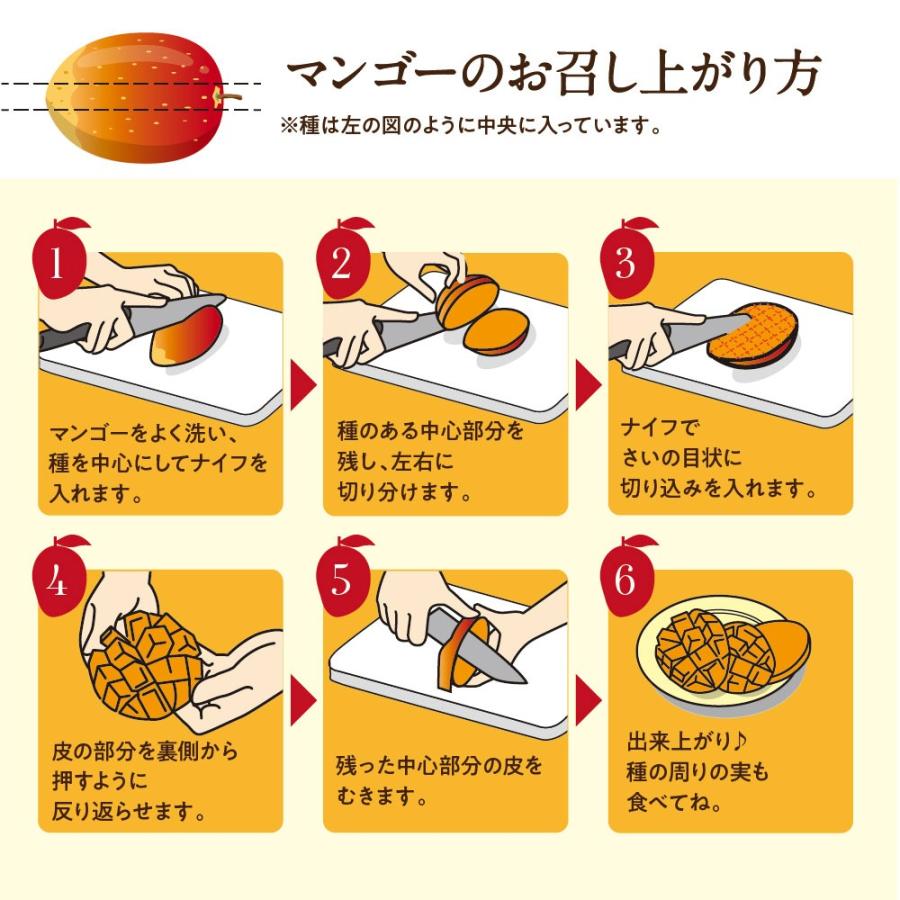 太陽のタマゴ 3.8kg詰め 2026年 宮崎 マンゴー フレッシュ 産地直送 贈り物 お中元 ギフト 果物 くだもの フルーツ 送料無料_11
