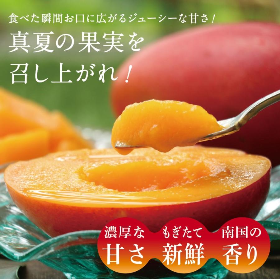 太陽のタマゴ 3.8kg詰め 2026年 宮崎 マンゴー フレッシュ 産地直送 贈り物 お中元 ギフト 果物 くだもの フルーツ 送料無料_14