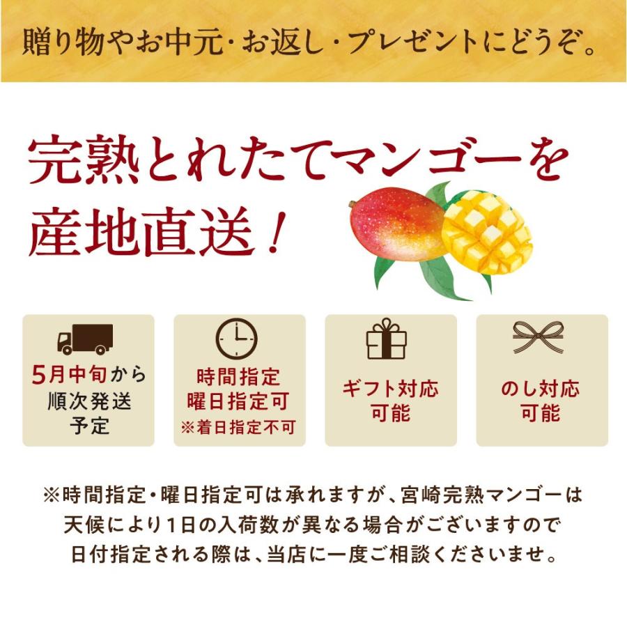 太陽のタマゴ 3.8kg詰め 2026年 宮崎 マンゴー フレッシュ 産地直送 贈り物 お中元 ギフト 果物 くだもの フルーツ 送料無料_17