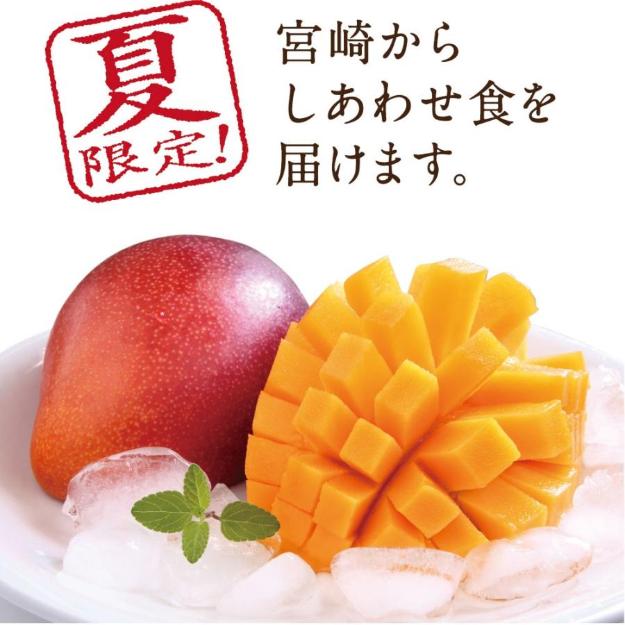 太陽のタマゴ 3.8kg詰め 2026年 宮崎 マンゴー フレッシュ 産地直送 贈り物 お中元 ギフト 果物 くだもの フルーツ 送料無料_3