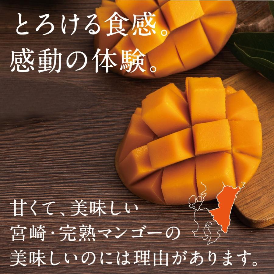 太陽のタマゴ 3.8kg詰め 2026年 宮崎 マンゴー フレッシュ 産地直送 贈り物 お中元 ギフト 果物 くだもの フルーツ 送料無料_4