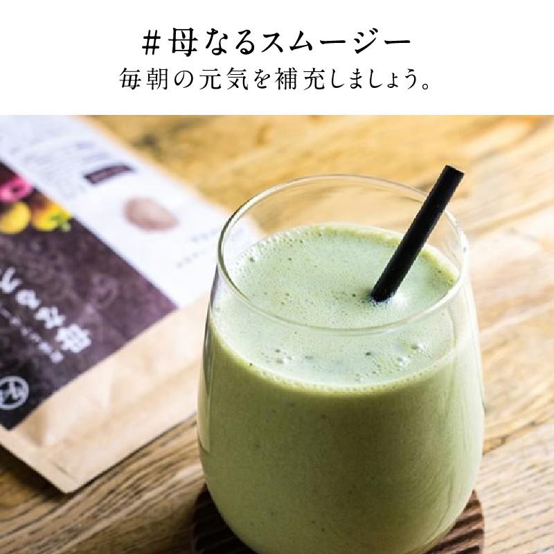 タマチャンショップ 5袋セット スムージー 母なるスムージー 150g
