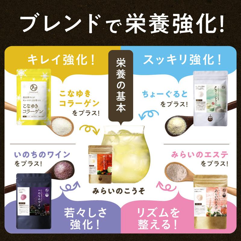 タマチャンショップ サプリ 酵素 乳酸菌 コラーゲン 美粉屋 5種