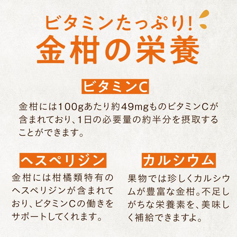 金柑 たまたま 宮崎産 2L 300g 特大 サイズ お試し お取り寄せ グルメ 完熟 キンカン きんかん 果物 産地直送 フルーツ｜tamachanshop｜03