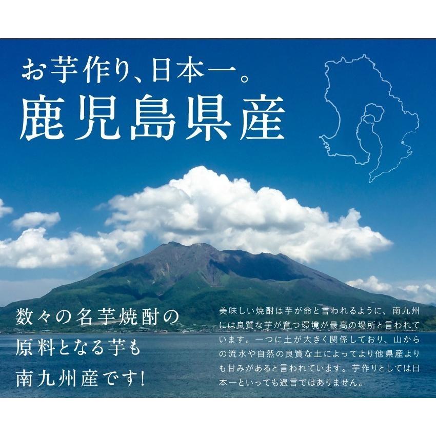 干し芋 5袋セット 紅はるかとろける干し芋 110g 鹿児島産 国産  天日干し 紅はるか 干しいも さつまいも サツマイモ 自然食品 ポイント消化 送料無料 | タマチャンショップ | 03