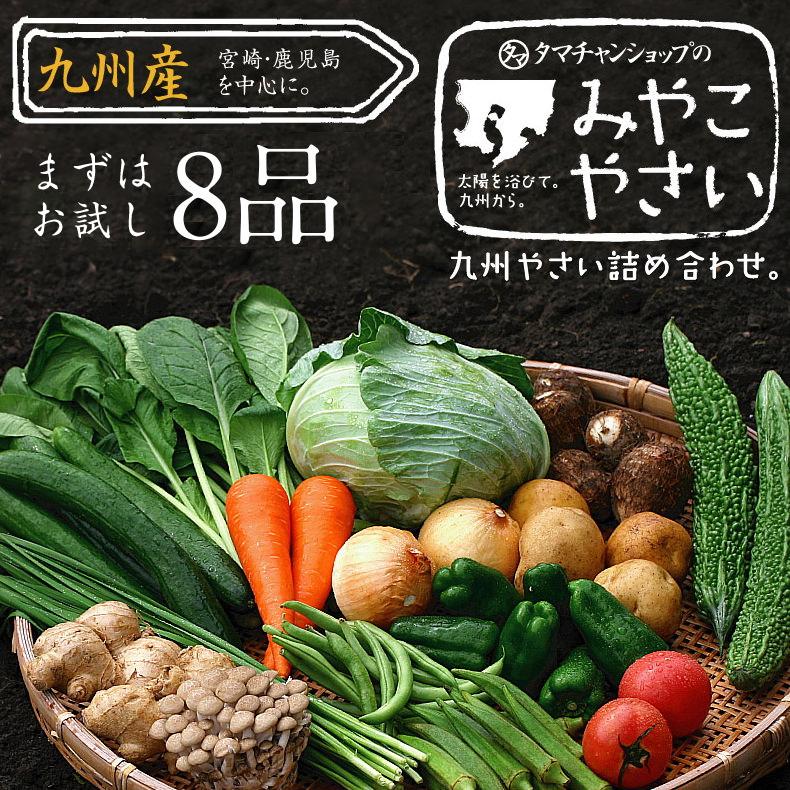 野菜セット 九州産 お試し 8品 やさい 産地直送 野菜 季節 旬 トマト きゅうり かぼちゃ キャベツ 小松菜 ほうれん草 じゃがいも 人参 お取り寄せ 送料無料｜tamachanshop