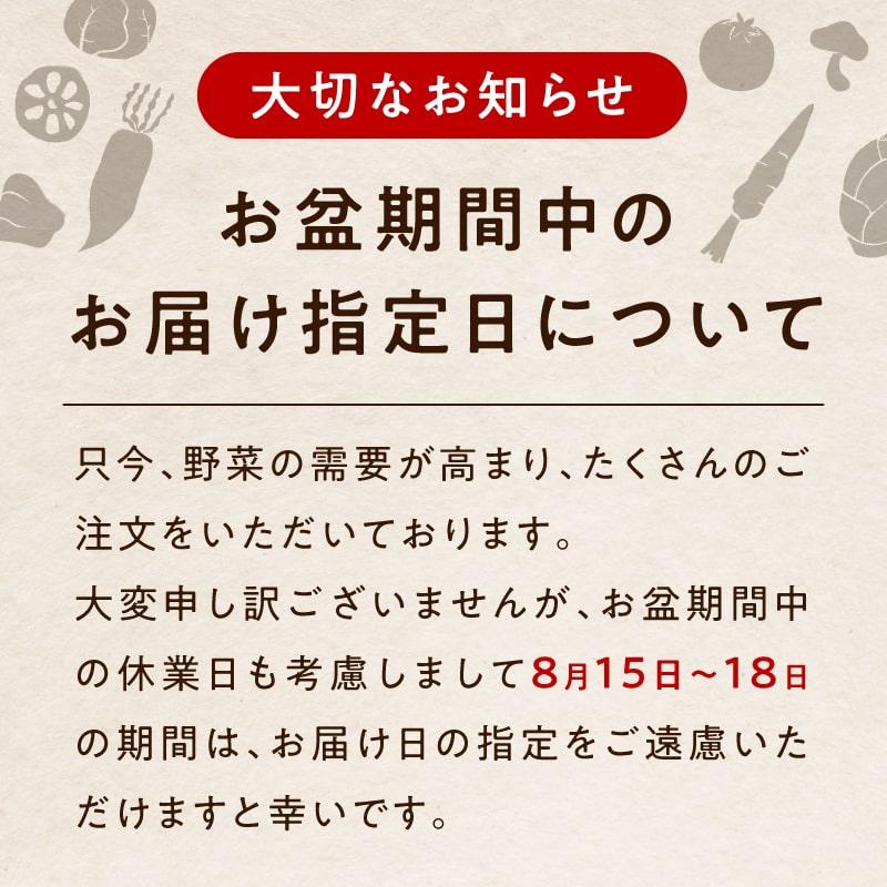 野菜セット 九州産 お試し 8品 やさい 産地直送 野菜 季節 旬 トマト きゅうり かぼちゃ キャベツ 小松菜 ほうれん草 じゃがいも 人参 お取り寄せ 送料無料｜tamachanshop｜09