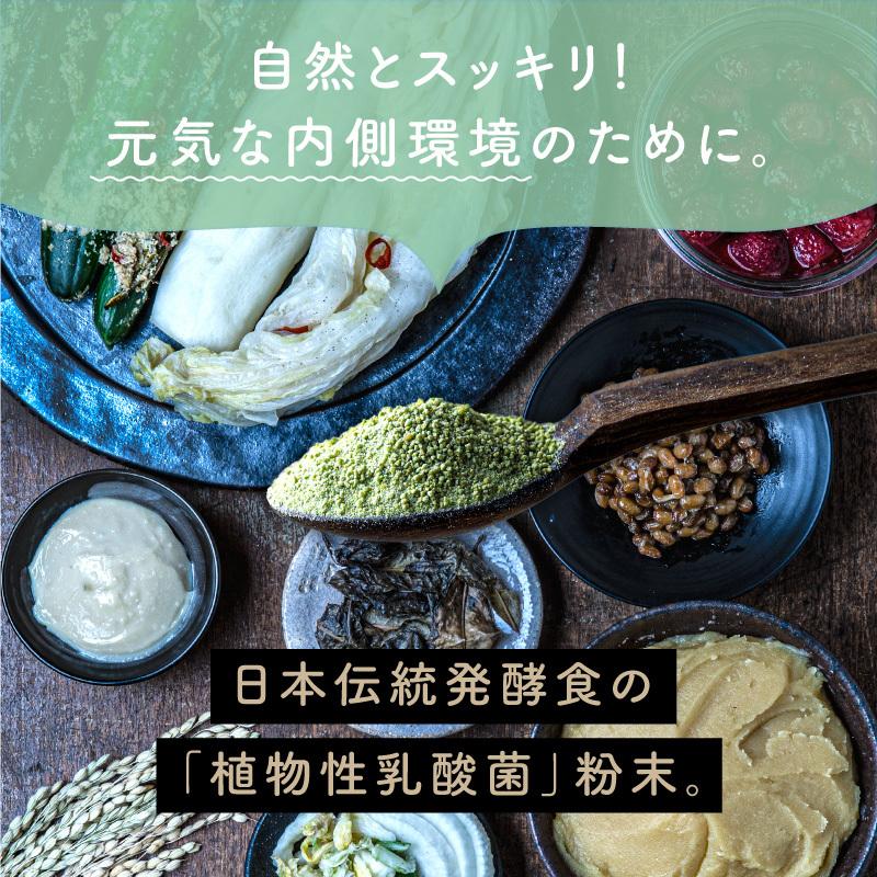 ちょーぐると ななつの植物食ブレンド 100g 美粉屋 植物性乳酸菌 ヨーグルト サプリ サプリメント 菌活 善玉菌 乳酸菌飲料 食物繊維 約1ヵ月分 送料無料｜tamachanshop｜02