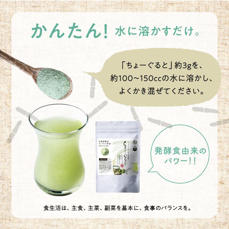 ちょーぐると ななつの植物食ブレンド 100g 美粉屋 植物性乳酸菌 ヨーグルト サプリ サプリメント 菌活 善玉菌 乳酸菌飲料 食物繊維 約1ヵ月分  送料無料 :vegetable-chogurt:タマチャンショップ - 通販 - Yahoo!ショッピング