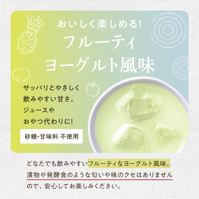 ちょーぐると ななつの植物食ブレンド 100g 美粉屋 植物性乳酸菌 ヨーグルト サプリ サプリメント 菌活 善玉菌 乳酸菌飲料 食物繊維 約1ヵ月分 送料無料｜tamachanshop｜12