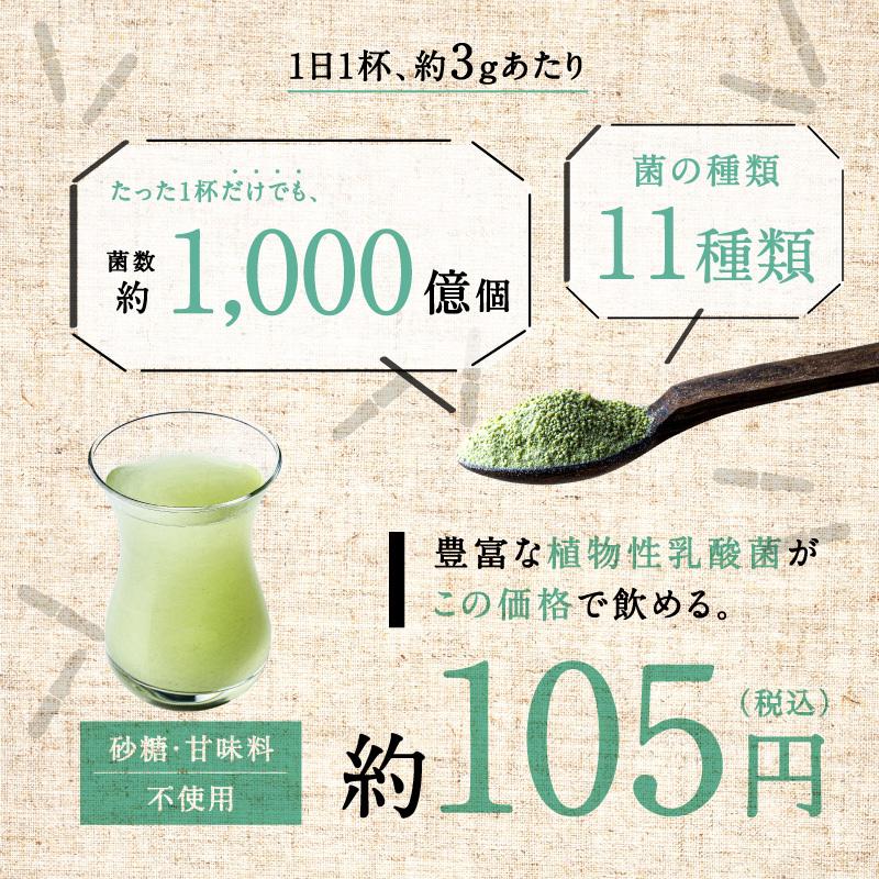 ちょーぐると ななつの植物食ブレンド 100g 美粉屋 植物性乳酸菌 ヨーグルト サプリ サプリメント 菌活 善玉菌 乳酸菌飲料 食物繊維 約1ヵ月分 送料無料｜tamachanshop｜10