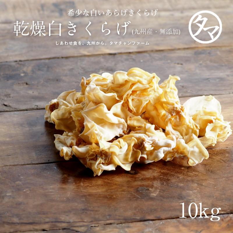 ゆきくらげ 10kg 白い色のアラゲキクラゲ 業務用 乾燥 干し 木耳 キクラゲ きのこ キノコ 九州 国産 ビタミンd 送料無料 タマチャンショップpaypayモール店 通販 Paypayモール